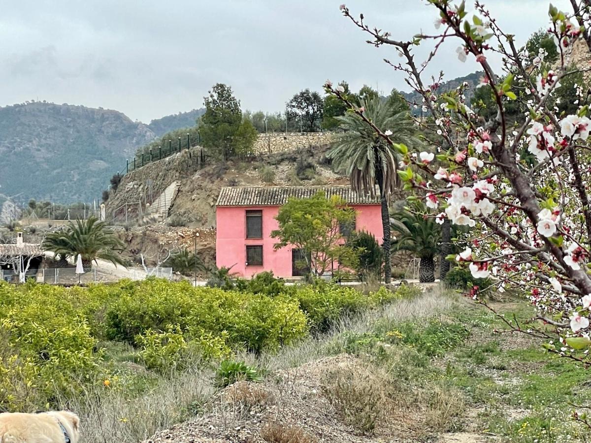 Casa Ramoncico. Finca El Campillo Blanca Luaran gambar