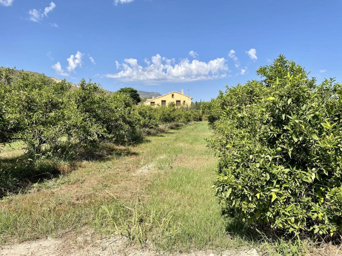 Casa Ramoncico. Finca El Campillo Blanca Luaran gambar