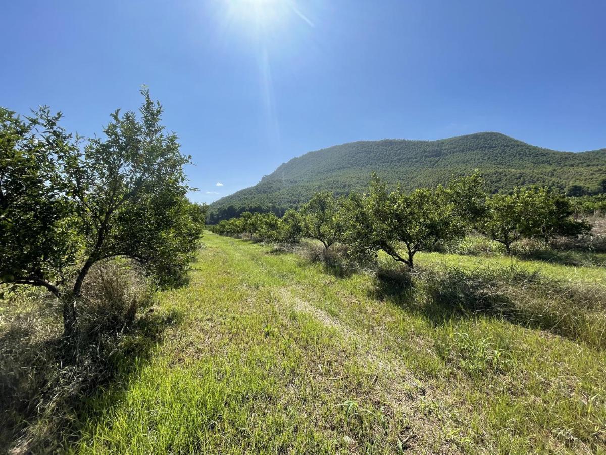 Casa Ramoncico. Finca El Campillo Blanca Luaran gambar