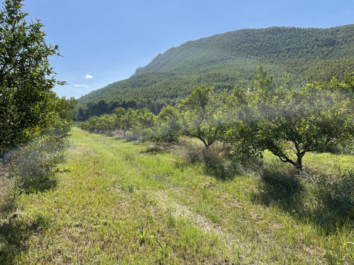 Casa Ramoncico. Finca El Campillo Blanca Luaran gambar
