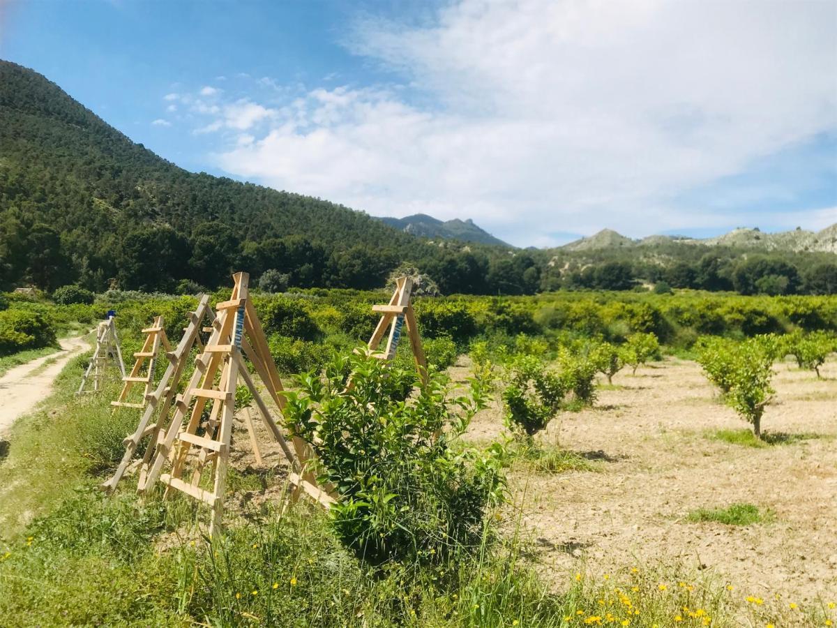 Casa Ramoncico. Finca El Campillo Blanca Luaran gambar