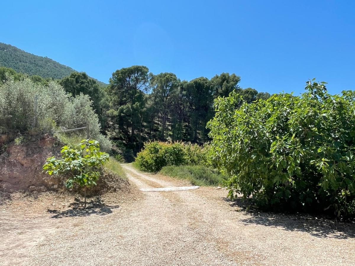 Casa Ramoncico. Finca El Campillo Blanca Luaran gambar