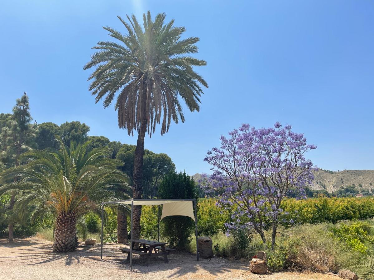 Casa Ramoncico. Finca El Campillo Blanca Luaran gambar
