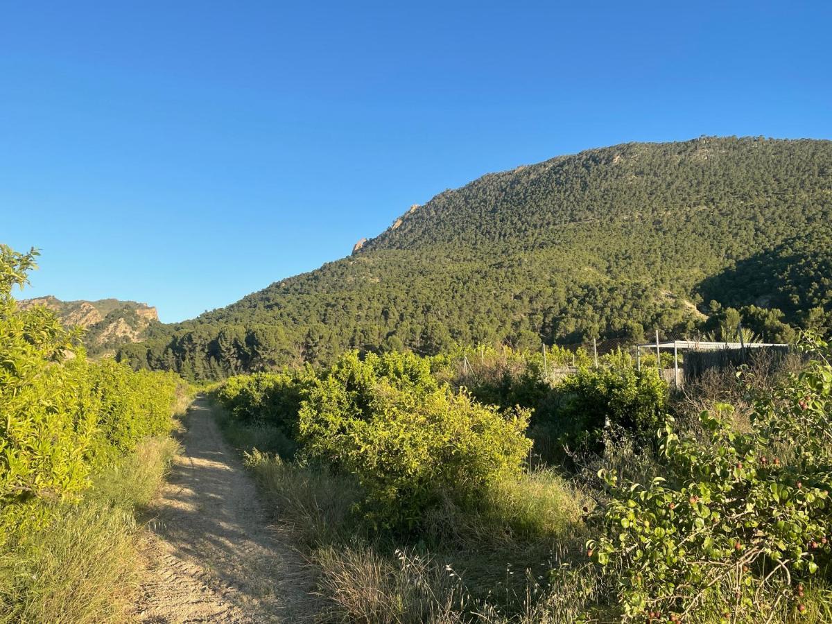 Casa Ramoncico. Finca El Campillo Blanca Luaran gambar