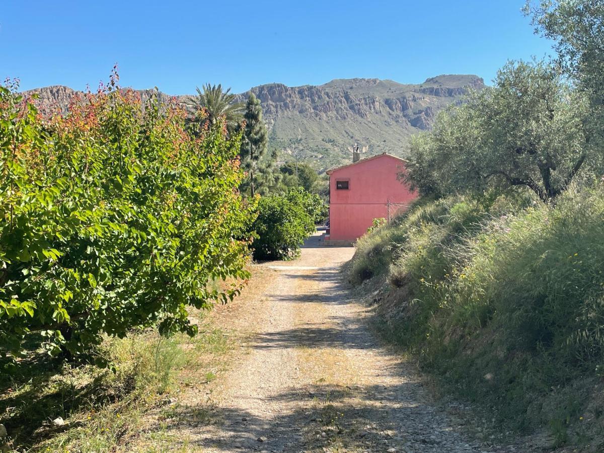 Casa Ramoncico. Finca El Campillo Blanca Luaran gambar