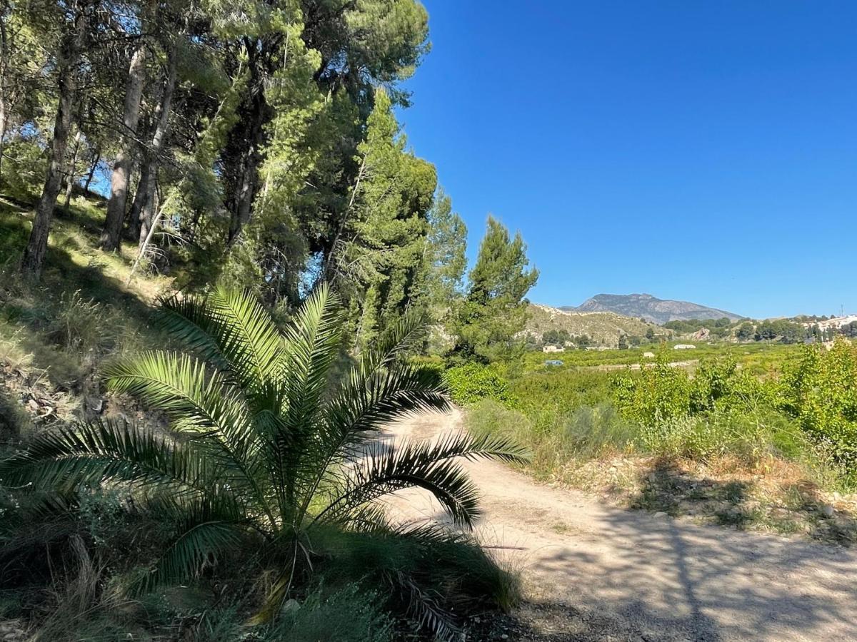Casa Ramoncico. Finca El Campillo Blanca Luaran gambar